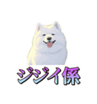 犬味 くそジジイ（個別スタンプ：25）