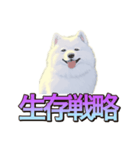 犬味 くそジジイ（個別スタンプ：26）