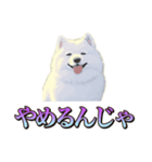犬味 くそジジイ（個別スタンプ：27）