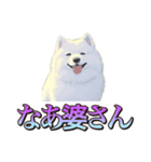 犬味 くそジジイ（個別スタンプ：29）