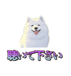 犬味 くそジジイ（個別スタンプ：31）