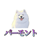 犬味 くそジジイ（個別スタンプ：35）