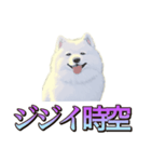 犬味 くそジジイ（個別スタンプ：38）