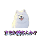 犬味 くそジジイ（個別スタンプ：39）