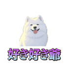 犬味 くそジジイ（個別スタンプ：40）