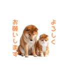 【動く】柴犬と猫のかわいいスタンプ 86（個別スタンプ：1）