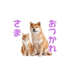 【動く】柴犬と猫のかわいいスタンプ 86（個別スタンプ：3）