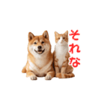 【動く】柴犬と猫のかわいいスタンプ 86（個別スタンプ：5）
