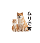 【動く】柴犬と猫のかわいいスタンプ 86（個別スタンプ：7）