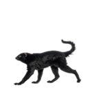 黒い変な生き物たち（個別スタンプ：1）
