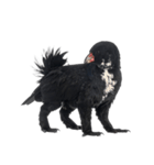 黒い変な生き物たち（個別スタンプ：29）