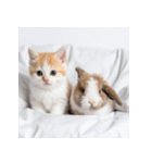 子猫と子うさぎ 実写（個別スタンプ：36）