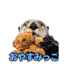 ラッコ！！実写（個別スタンプ：15）