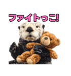 ラッコ！！実写（個別スタンプ：29）