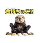 ラッコ！！実写（個別スタンプ：37）