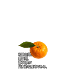 ビッグ！みかんの情報（個別スタンプ：13）