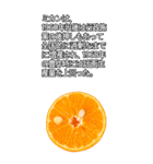 ビッグ！みかんの情報（個別スタンプ：16）