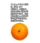 ビッグ！みかんの情報（個別スタンプ：27）