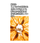 ビッグ！みかんの情報（個別スタンプ：39）