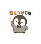 毎日使う連絡・約束・日常語 ペンギン BIG（個別スタンプ：29）