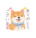 ハンバーガーと柴犬スタンプ（個別スタンプ：5）