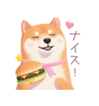 ハンバーガーと柴犬スタンプ（個別スタンプ：24）