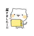 ゆるかわ白猫の毎日使える日常スタンプ（個別スタンプ：14）