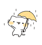 ゆるかわ白猫の毎日使える日常スタンプ（個別スタンプ：30）