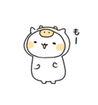 ゆるかわ白猫の毎日使える日常スタンプ（個別スタンプ：31）