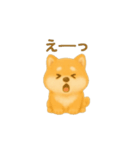 柴犬の日常会話24（個別スタンプ：3）