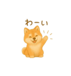 柴犬の日常会話24（個別スタンプ：4）