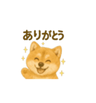 柴犬の日常会話24（個別スタンプ：6）