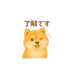 柴犬の日常会話24（個別スタンプ：8）