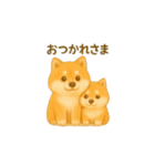 柴犬の日常会話24（個別スタンプ：9）