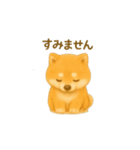 柴犬の日常会話24（個別スタンプ：10）