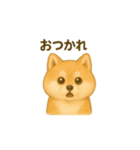 柴犬の日常会話24（個別スタンプ：13）