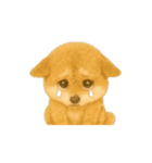 柴犬の日常会話24（個別スタンプ：14）