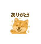 柴犬の日常会話24（個別スタンプ：16）