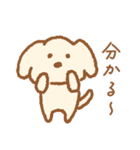 ずっと使える♪ゆる犬の日常フレーズ（個別スタンプ：21）