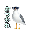 おしゃべりカモメ（個別スタンプ：8）