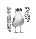 おしゃべりカモメ（個別スタンプ：14）