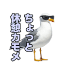 おしゃべりカモメ（個別スタンプ：15）