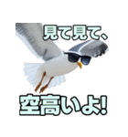 おしゃべりカモメ（個別スタンプ：18）