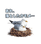 おしゃべりカモメ（個別スタンプ：23）