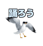 おしゃべりカモメ（個別スタンプ：24）