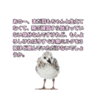 おしゃべりカモメ（個別スタンプ：33）