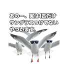 おしゃべりカモメ（個別スタンプ：37）