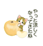 子猫ねこネコ 秋（個別スタンプ：14）