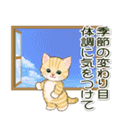 子猫ねこネコ 秋（個別スタンプ：36）
