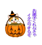 子猫ねこネコ 秋（個別スタンプ：39）